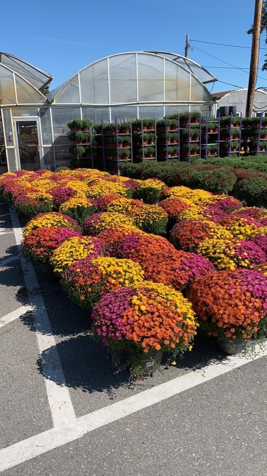 img-smartlandscaping-05